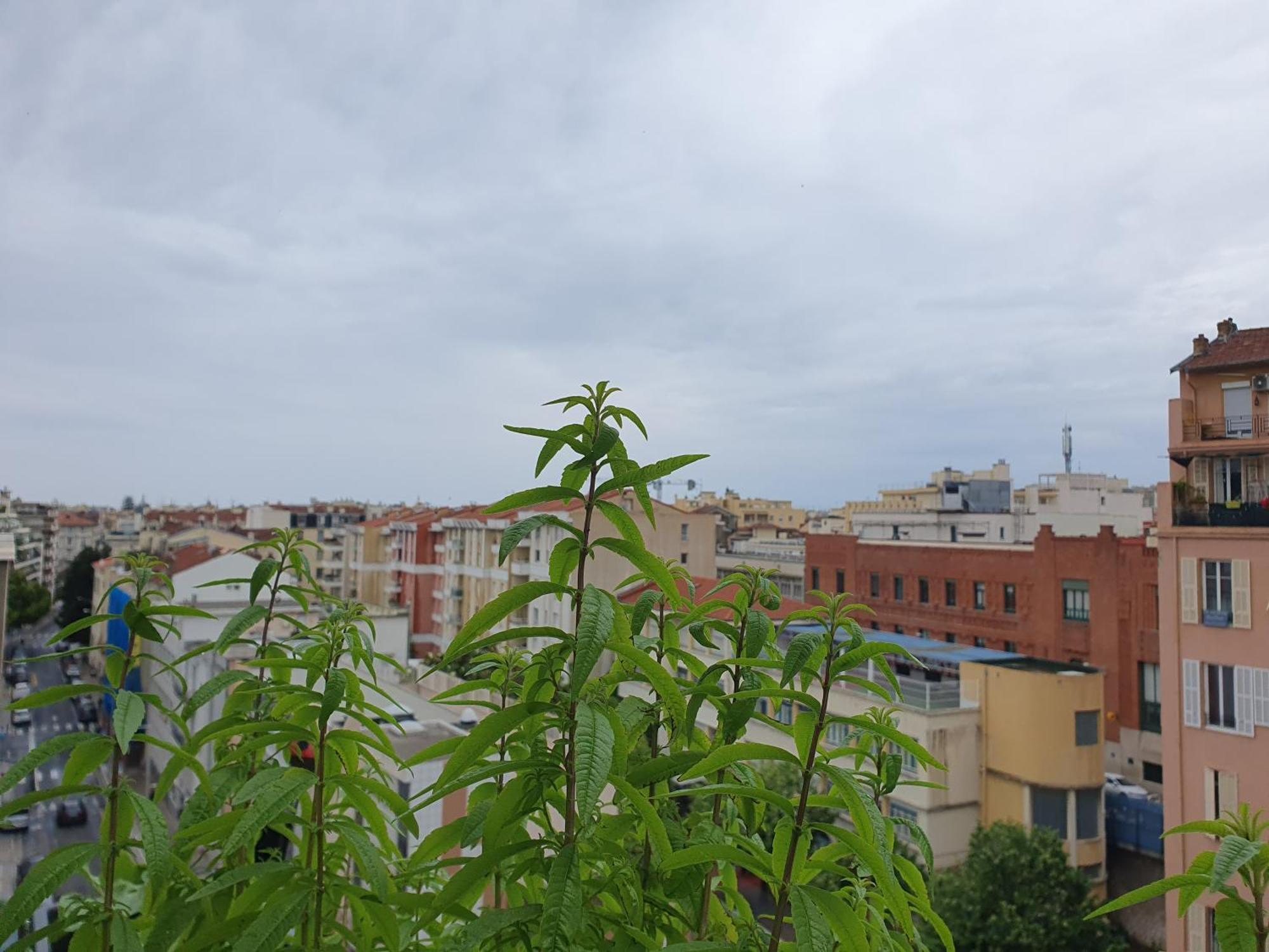 Wonderful Heart Of Nice Exteriör bild